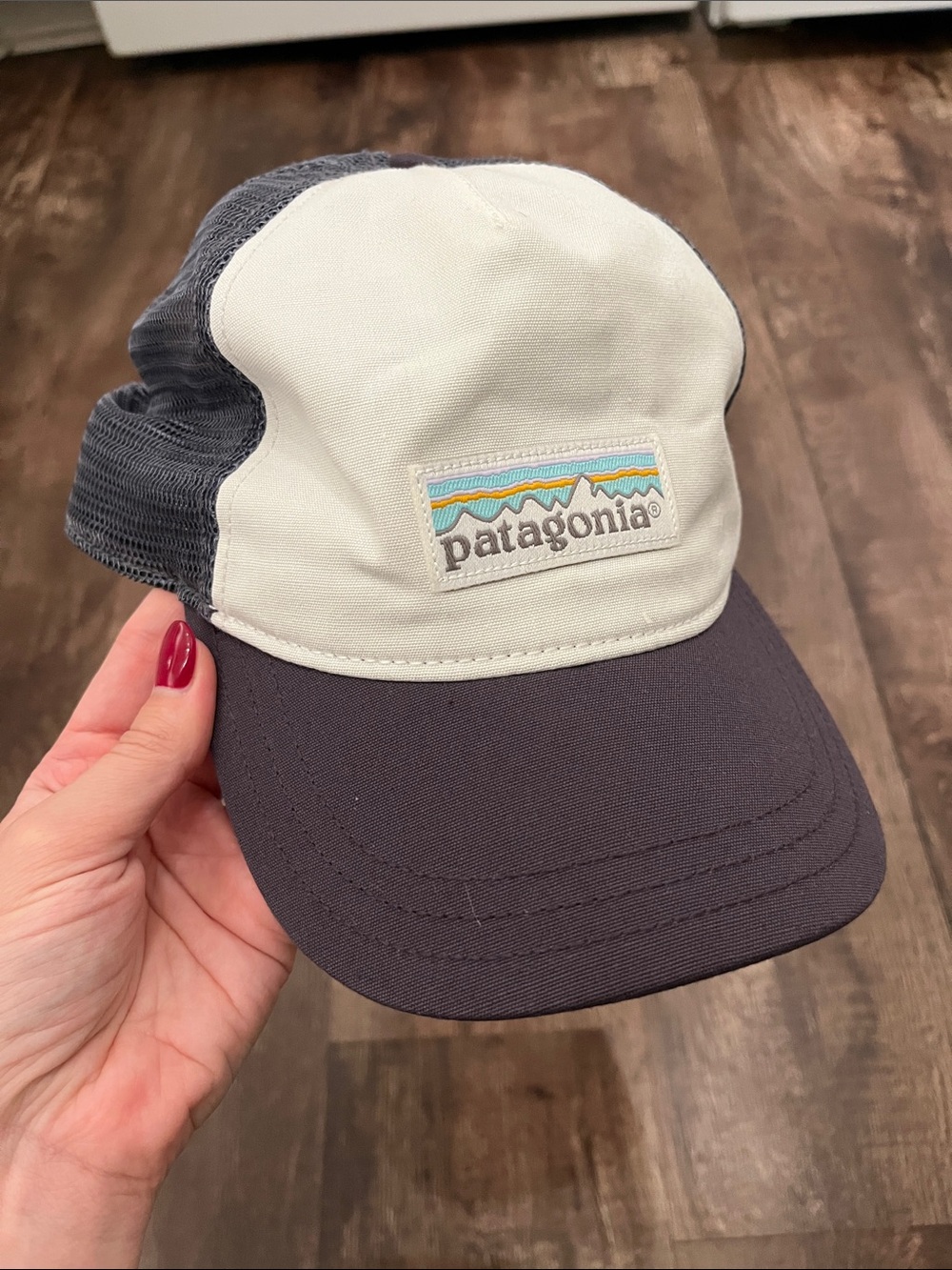 Patagonia Hat